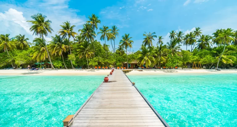 Beautiful tropical Maldives island with beach , sea , and coconut palm tree on blue sky for nature holiday vacation background concept -Boost up color Processing